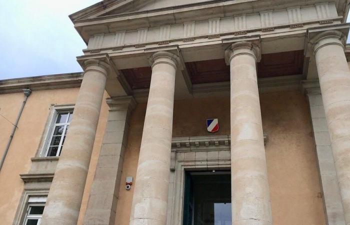 Four years in prison for the author of the large fire in July 2022 in the south of Ardèche