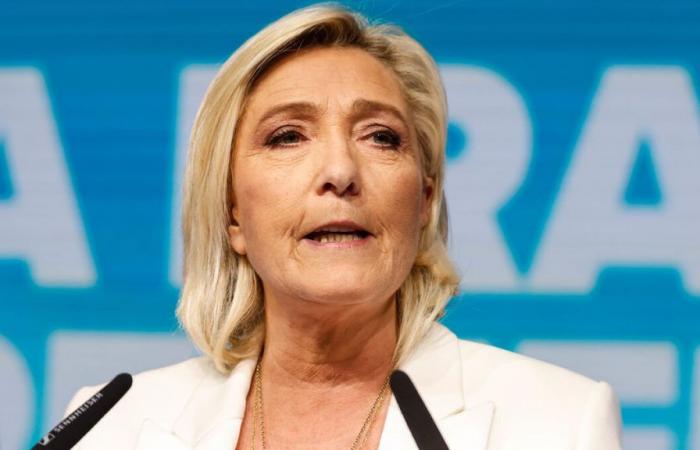 “Honorary” head of the armed forces: Marine Le Pen calls on Emmanuel Macron “to reread the Constitution”