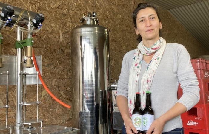 A festive event, the Wine and Beer Fair will take place on July 6 in Niort
