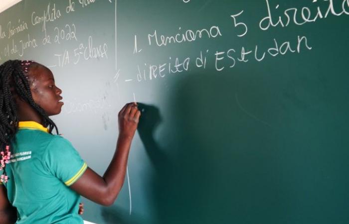 Conflict in northern Mozambique jeopardizes education system: report