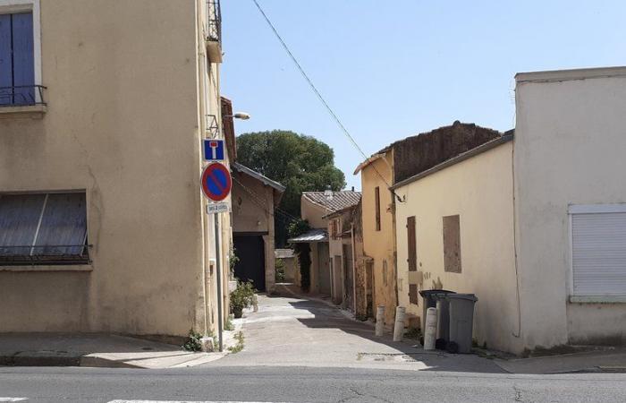 Saint-André-de-Sangonis: Fleas make life difficult for residents of the Impasse Ravanières