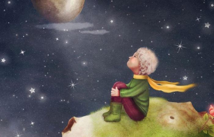 World Little Prince Day: June 29, 2024