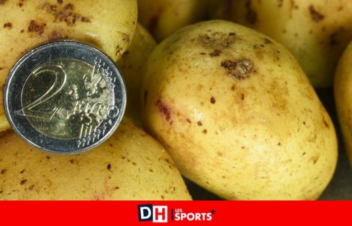 Record profits for potato manufacturers: “Farmers find themselves trapped”