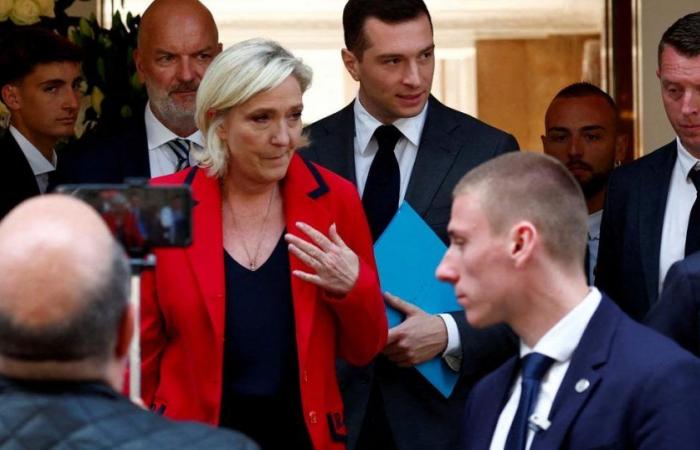 Marine Le Pen disavows RN MP who believes ministerial positions should be filled by “Franco-French” people