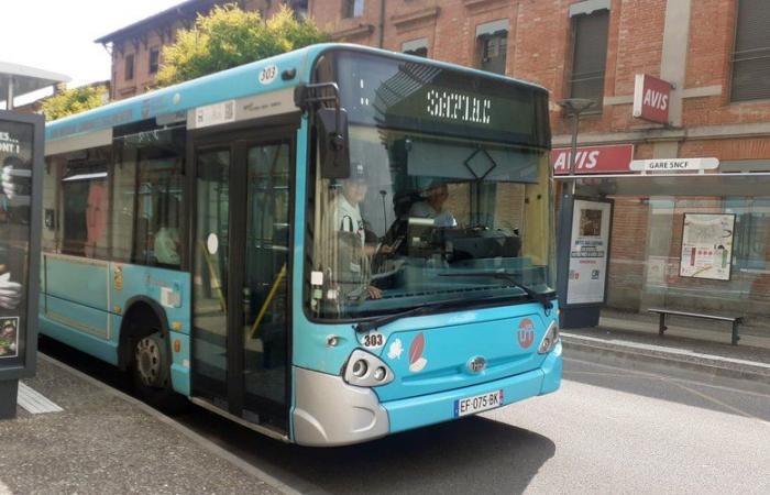 Transports Montalbanais: “Increase the offer when all users are active”