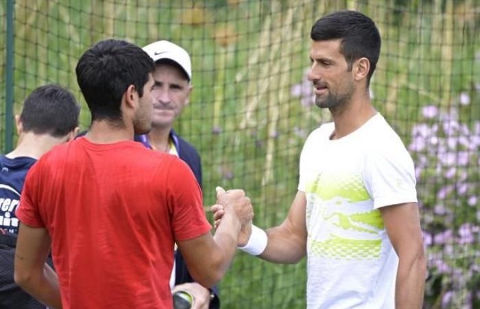 Wimbledon draw: Carlos Alcaraz and Novak Djokovic will not cross paths before a possible final