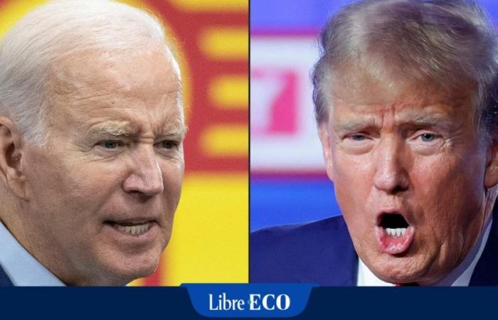 Donald Trump or Joe Biden? “For the markets, there is no good or bad candidate”