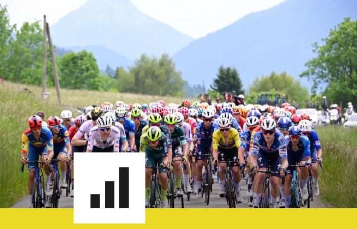 The 2024 Tour de France peloton under scrutiny