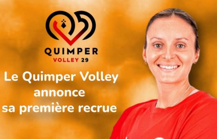 A globetrotter arrives at Quimper Volley – quimper – volleyball