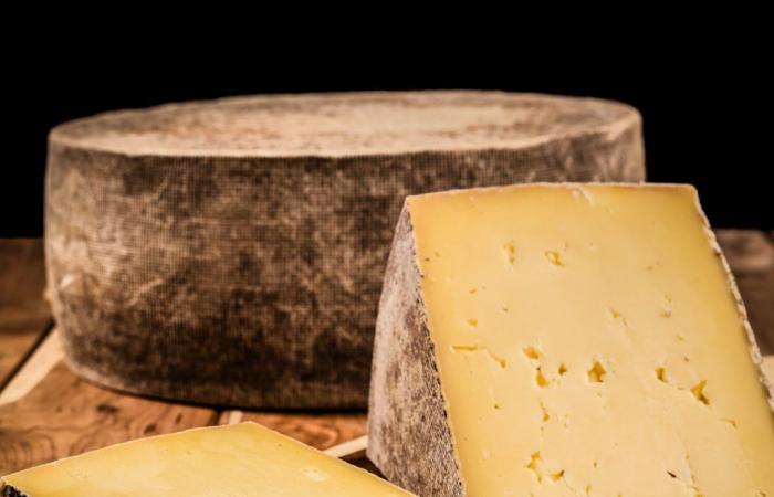 Caseus Selection: 15 cheeses from Centre-du-Québec in the running