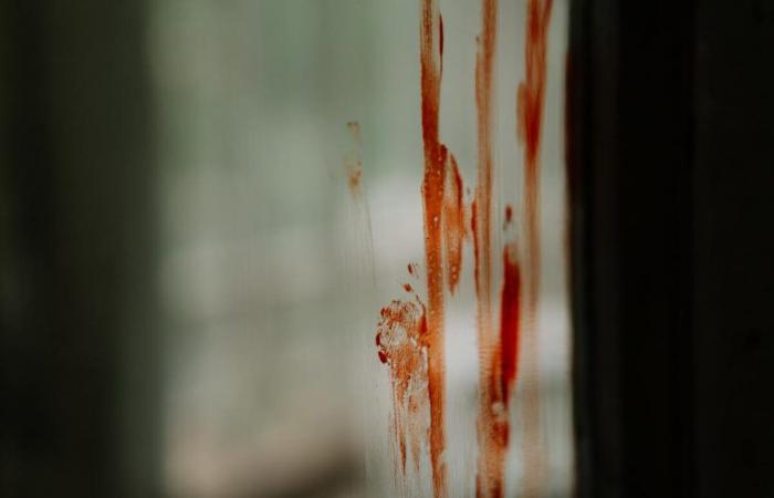 She comes out of the shower to see her son covered in blood, what awaits her in her room is worthy of a horror film – Closer