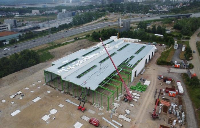 Luxembourg. This company is building a factory near Lorraine: 100 jobs planned