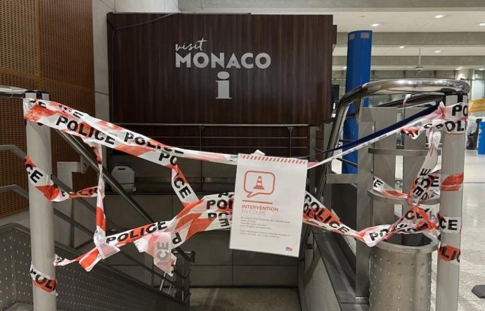 Minor sets fire to toilets at Monaco train station