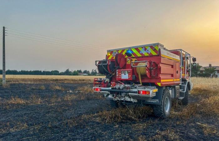 “Violent crop fire” northwest of Toulouse: its plume of smoke has caused concern