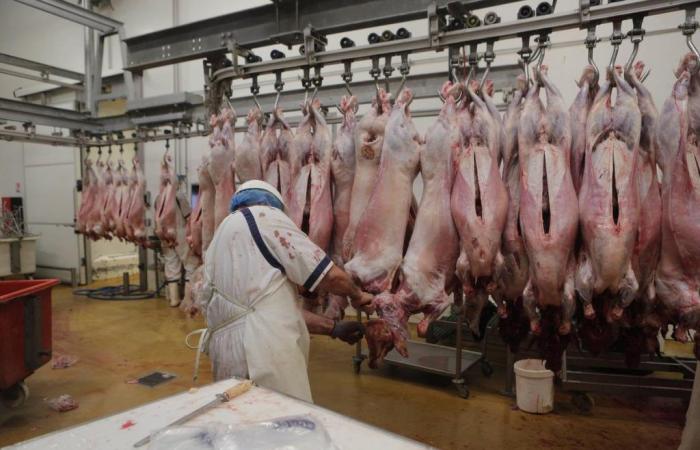 Work on the Bergerac slaughterhouse finally launched