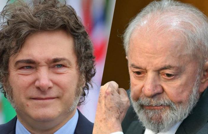 Javier Milei will not apologize to Lula and adds another layer
