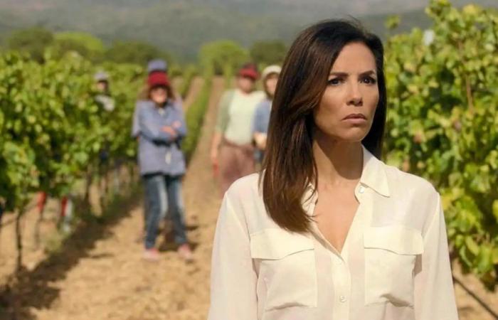 Eva Longoria (La terre des femmes): “If I hadn’t been an actress, I would have loved to be a sommelier!”
