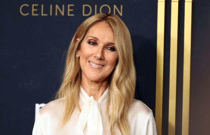 I saw the documentary on Celine Dion and it blew me away