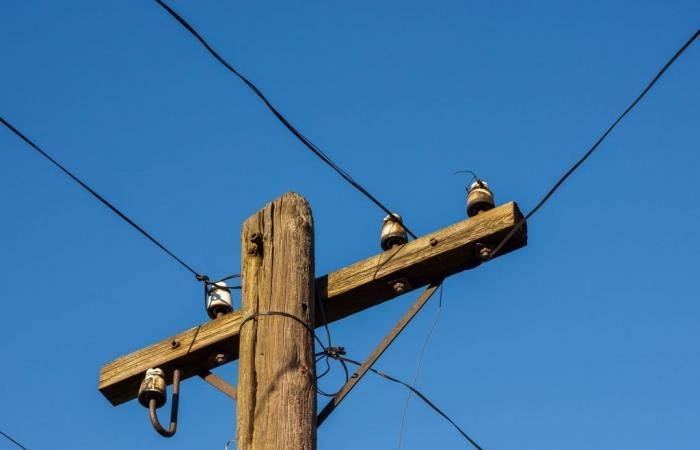 No posting on public utility poles is tolerated in Rivière-Rouge