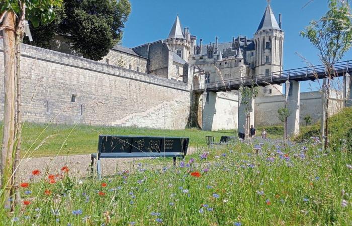 Saumur. Flowery and welcoming moats at the castle!