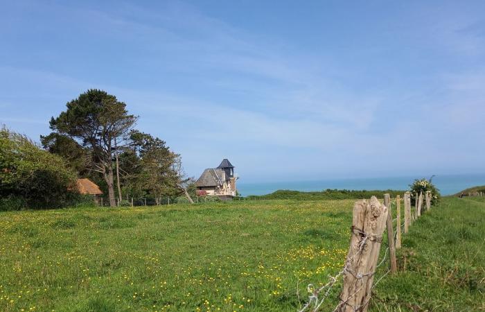 What to do in Normandy this weekend? 5 ideas for outings in the region