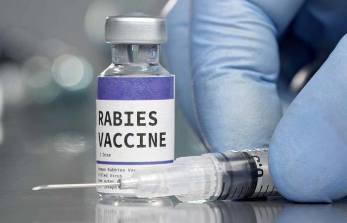 Gavi to increase access to rabies vaccines in more than 50 countries