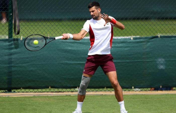 Tennis, Wimbledon – Three weeks after his operation, Novak Djokovic was able to play “without pain”