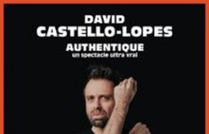 Spectacle David Castello-Lopes – Authentique