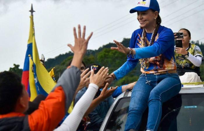 Venezuelan presidential election: 46 “arbitrary detentions” according to an NGO
