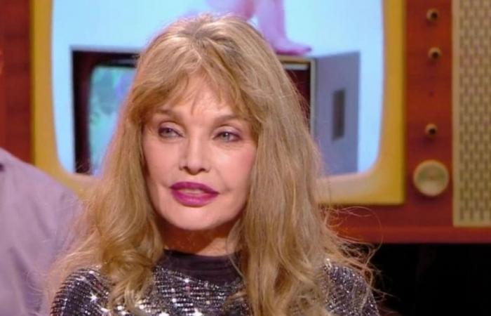Arielle Dombasle (71 years old) daring confidences about Bernard-Henri Lévy: “A real little…
