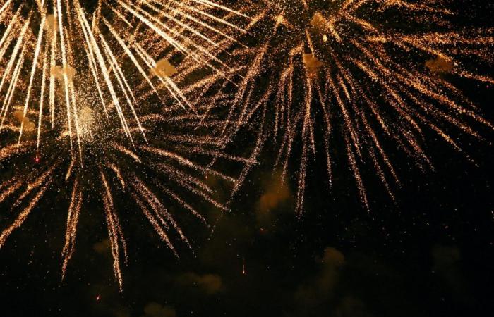 National Day 2024: fireworks, entertainment and popular ball in Perreux-sur-Marne (94)