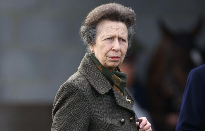 Princess Anne left hospital following horse riding accident
