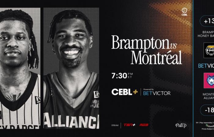 Crucial confrontation in Montreal between the Honey Badgers and the Alliance