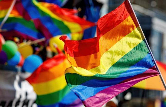 the first LGBT pride march canceled after a disagreement with Fort-de-France town hall