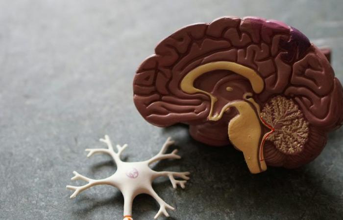 ‘Biggest Risk Factor’ for Dementia Revealed, Millions Affected