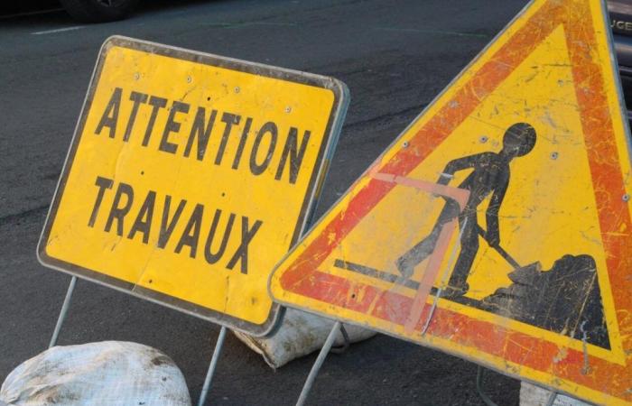 Vélival in Tours. Work is planned on this street from July 8: what you need to know