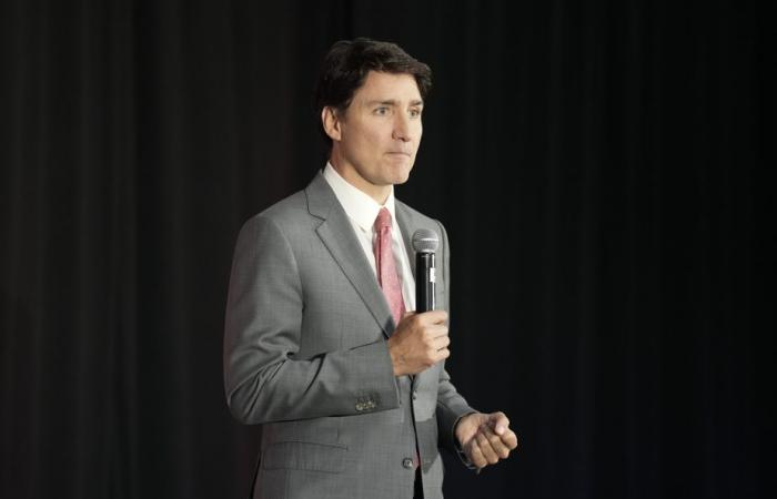 Email sent to colleagues | Liberal MP calls on Justin Trudeau to resign