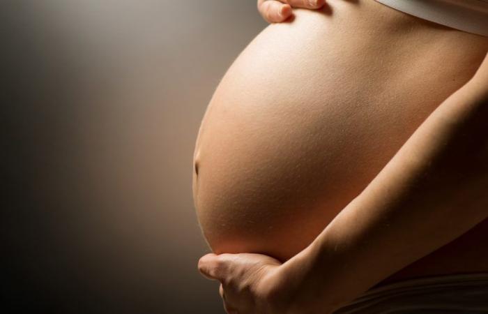 Surrogate mother from New Brunswick: a couple’s family project threatened by the new rules