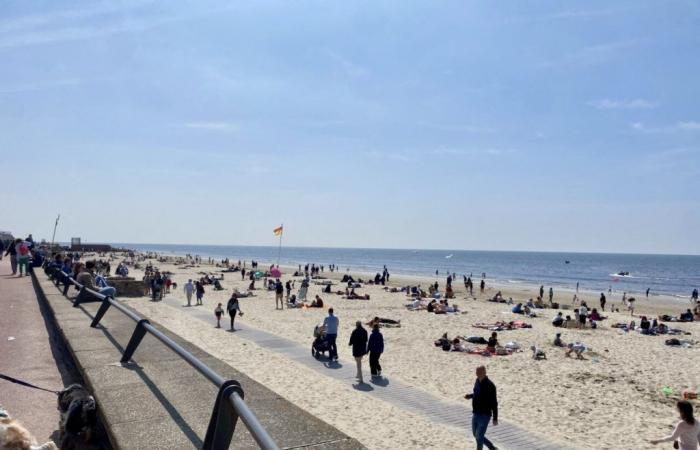 Pas-de-Calais: free buses all summer to take you to the beach!