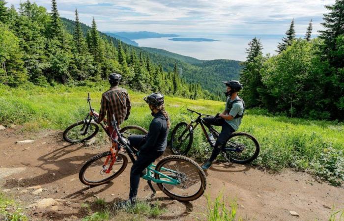 Mountain biking: Quebec, recognized worldwide