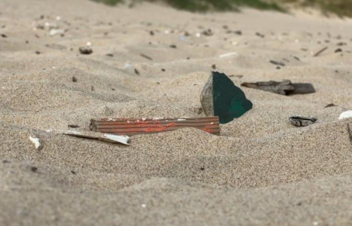 Blériot beach cleaned of waste for the summer