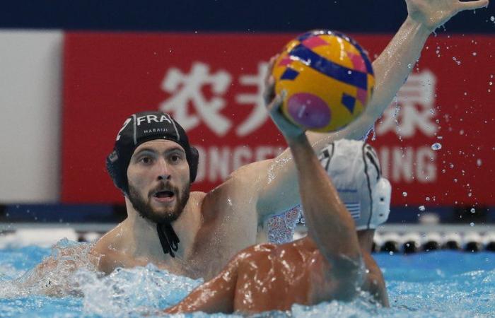 Paris 2024 Olympics: The French water polo team launches the final sprint of its Olympic preparation in Montpellier against Montenegro