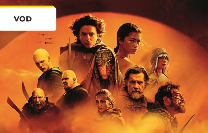 Dune: Part Two, a musical and inspiring biopic… This summer, the best films can be (re)discovered on VOD! – Cinema News