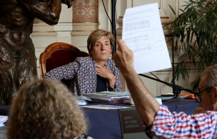 Finances: in Avignon, the majority earns their salary from work