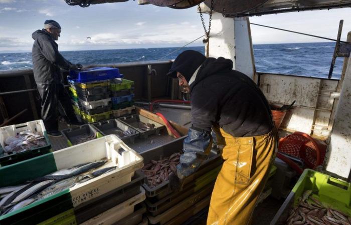Fishermen seeking political support to save the industry
