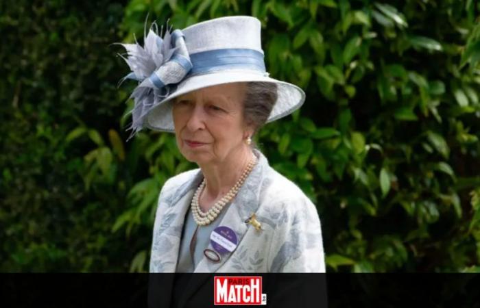 Princess Anne released from hospital five days after horse accident