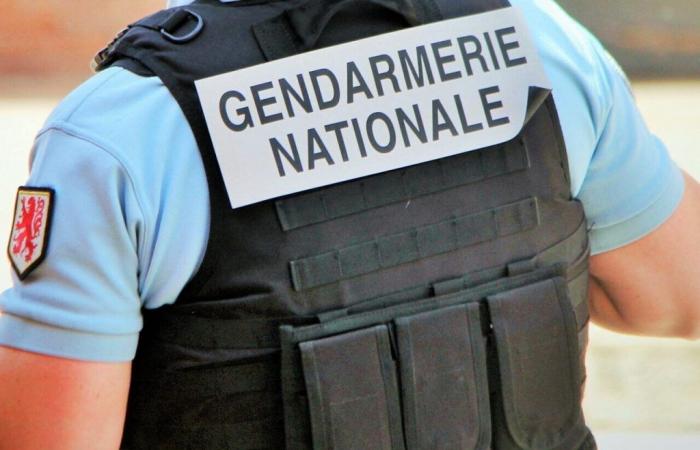 Drugs: more than 2 kg of cannabis seized in the Châteaulin region