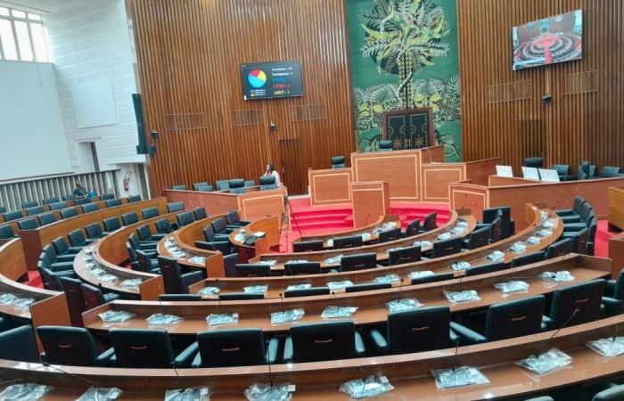 Senegal: National Assembly “renovated” while awaiting the updating of its texts | APAnews