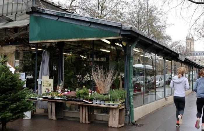 Paris 2024 Olympics: several Parisian markets cancelled during the festivities