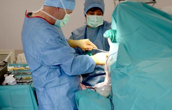 In Lunel, a national first achieved at the Via Domitia clinic with a shoulder prosthesis
